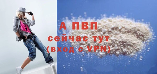 сатива Белоозёрский