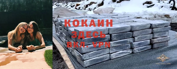 сатива Белоозёрский