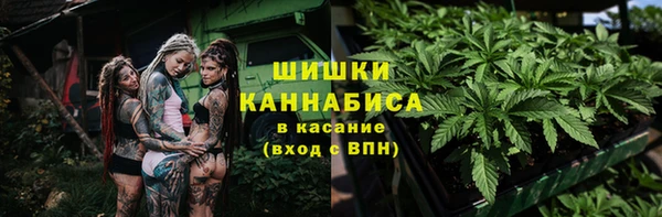 сатива Белоозёрский
