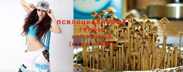 сатива Белоозёрский