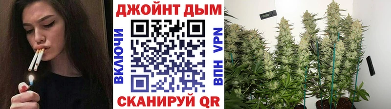 цена   Тихорецк  Канабис White Widow 